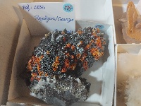 Mineral 16 - MineralExpo 2026